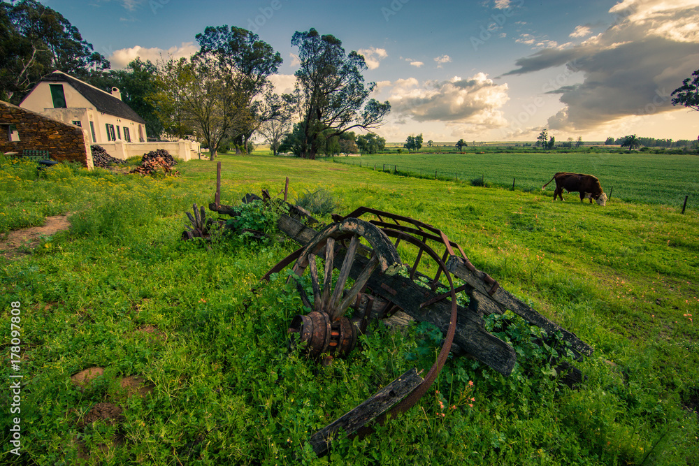 Φωτογραφία The wreckage of an old antique wagon lies in a field on a farm in South Africa