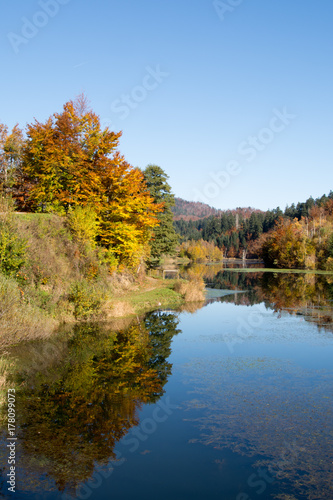 Fototapeta Naklejka Na Ścianę i Meble -  autumn leaves reflecting in the water