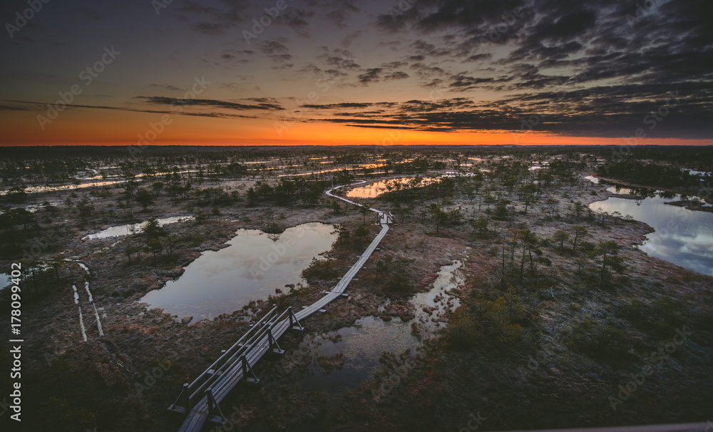 Panoramic view on stunning sunrise in swamp at Ķemeri national park, Latvia. Sunlight shines over the frosty marsh. Wooden trail leading to the watch tower surrounded by swamp pounds and junipers.