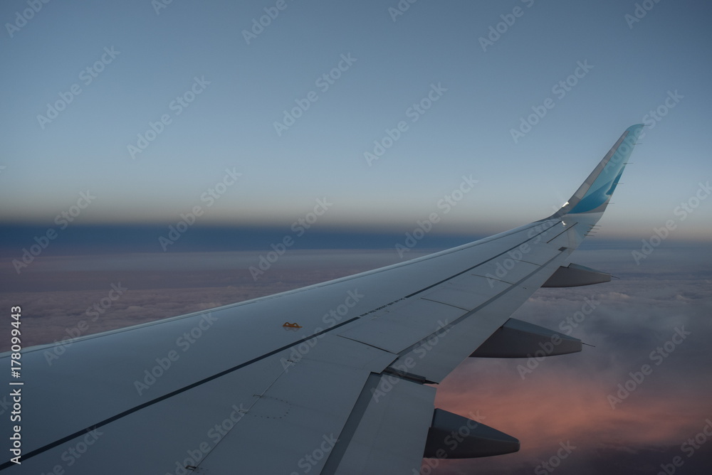 Fototapeta premium Flug durch rosa Nebel