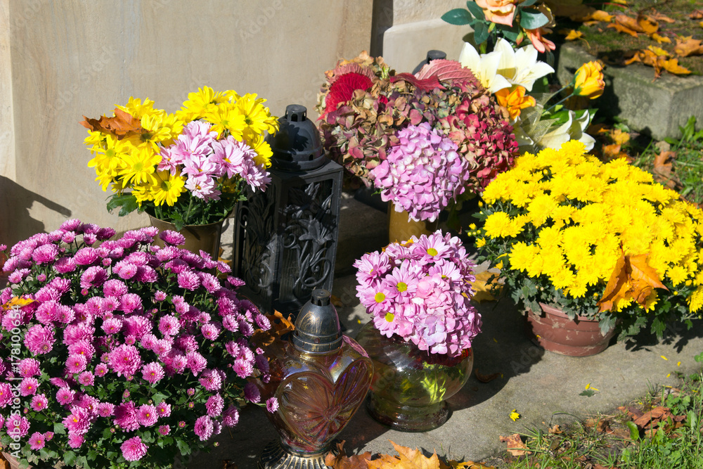 Graves decorations: chrysanthemum flowers and votive candles. All Saints Day celebration in Poland
