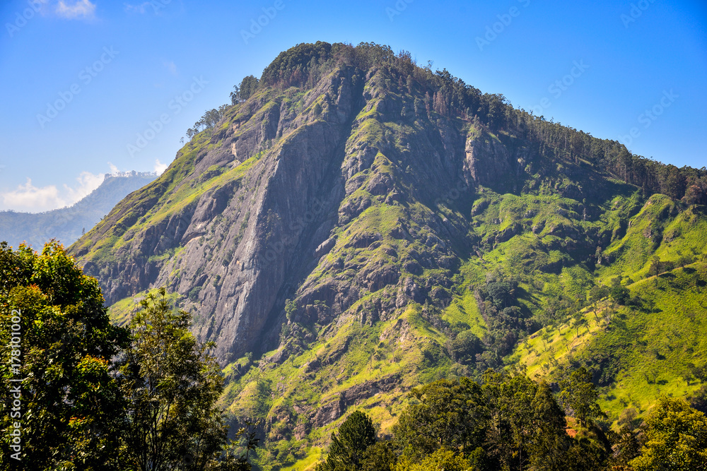 Fototapeta premium mountain in Sri Lanka, view of Ella Rock