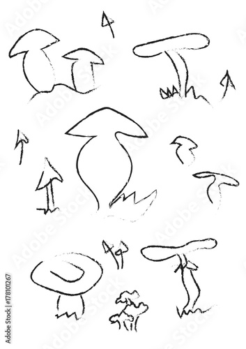 mushrooms