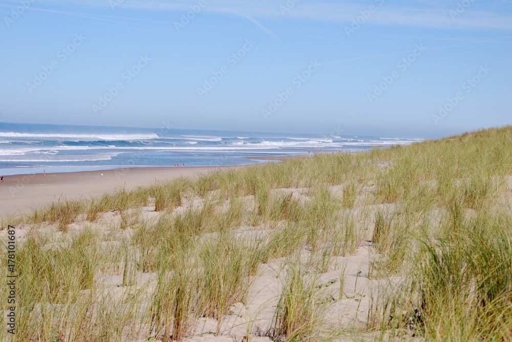 plage dune