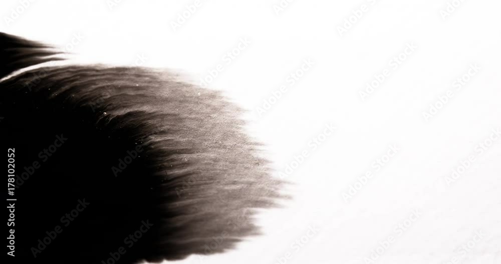 black ink on white background texture effect black ink on white background texture effect