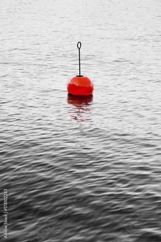 Red bouy on a calm lake - concept image with copy space