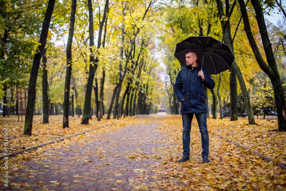 Fototapeta premium man with an umbrella walks in the autumn park