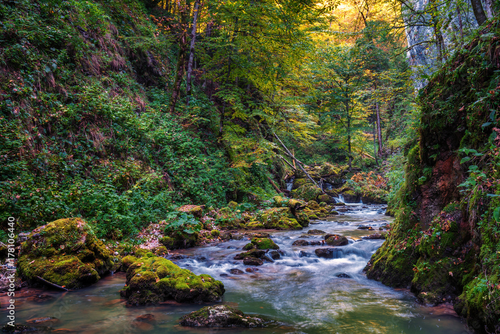 Obraz premium River and canyon in Romania