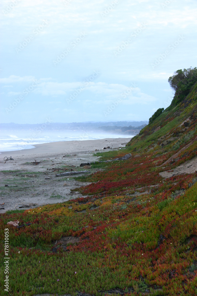 Monterey Bay Dawn