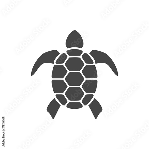 Turtle Icon Flat Graphic Design - Illustration 