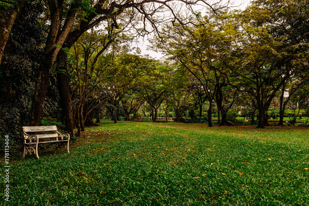 Wonders of garden Wonders of garden