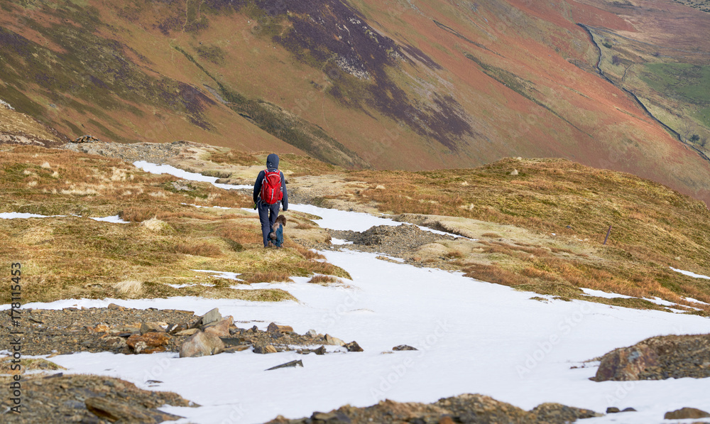 A hiker and their dog walking along a rocky and snow covered mountain path in the Lake District, England, UK.