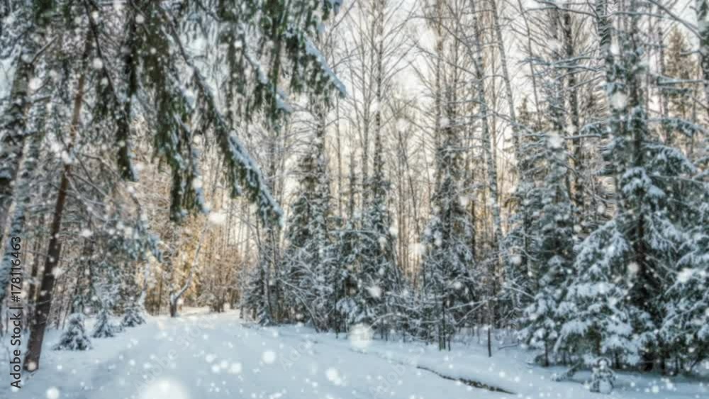 Falling snow in the winter forest, CINEMAGRAPH, loop, 1080p Falling snow in the winter forest, CINEMAGRAPH, loop, 1080p