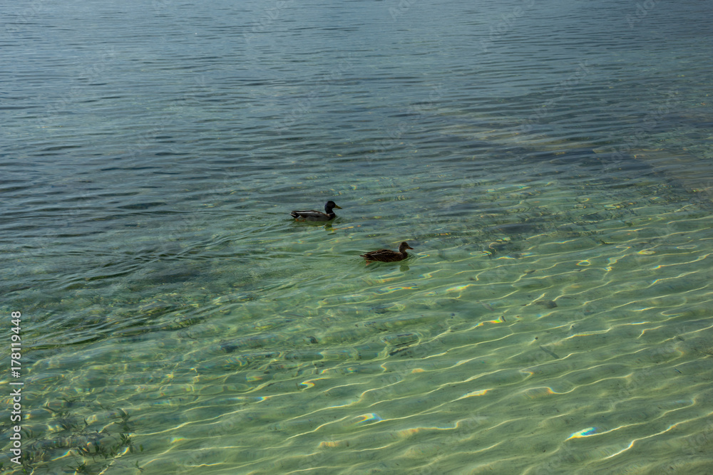 Fototapeta premium Mallorca, Urlaub, Balearen, Spanien, Sonne, Meer, Mittelmeer, Strand, Erholung