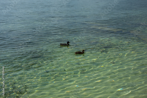 Mallorca, Urlaub, Balearen, Spanien, Sonne, Meer, Mittelmeer, Strand, Erholung