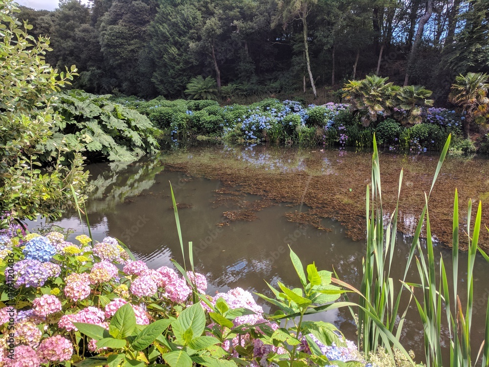 English garden pond English garden pond