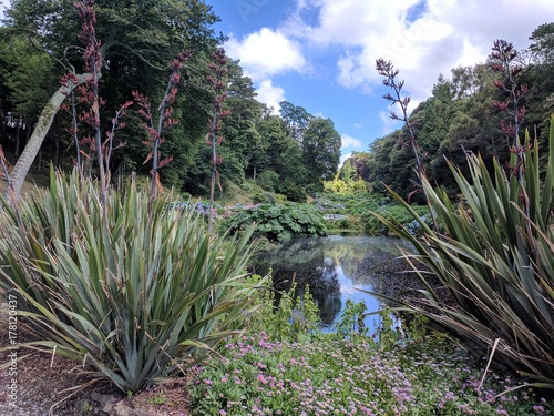 Public gardens with crocosmia and pond photo