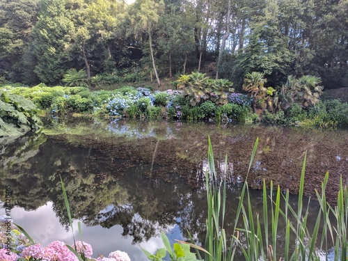 Beautiful garden