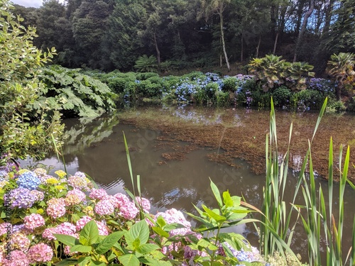 English garden pond