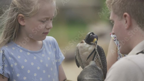  Children at falconry centre listening to handler talk about peregrine falcon