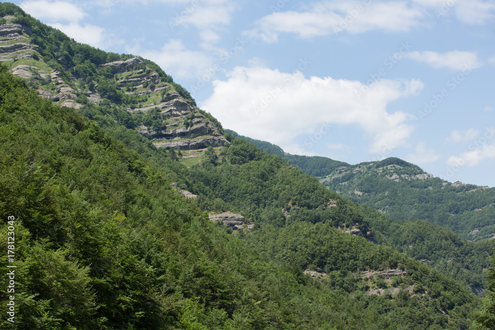 Sentiero, valle della Volpara, estate 