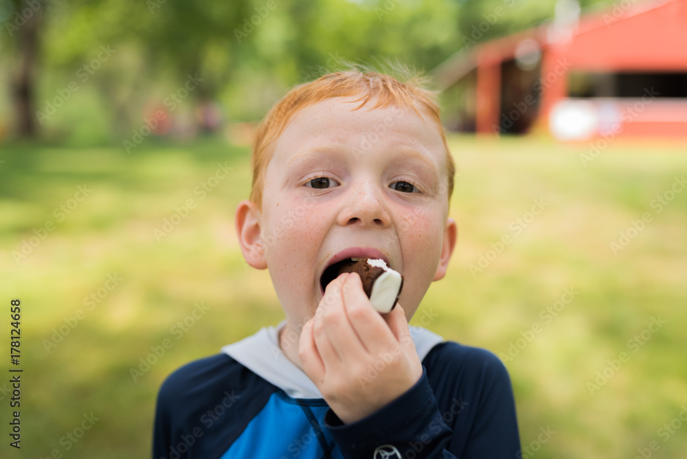 Ice cream sandwich Ice cream sandwich