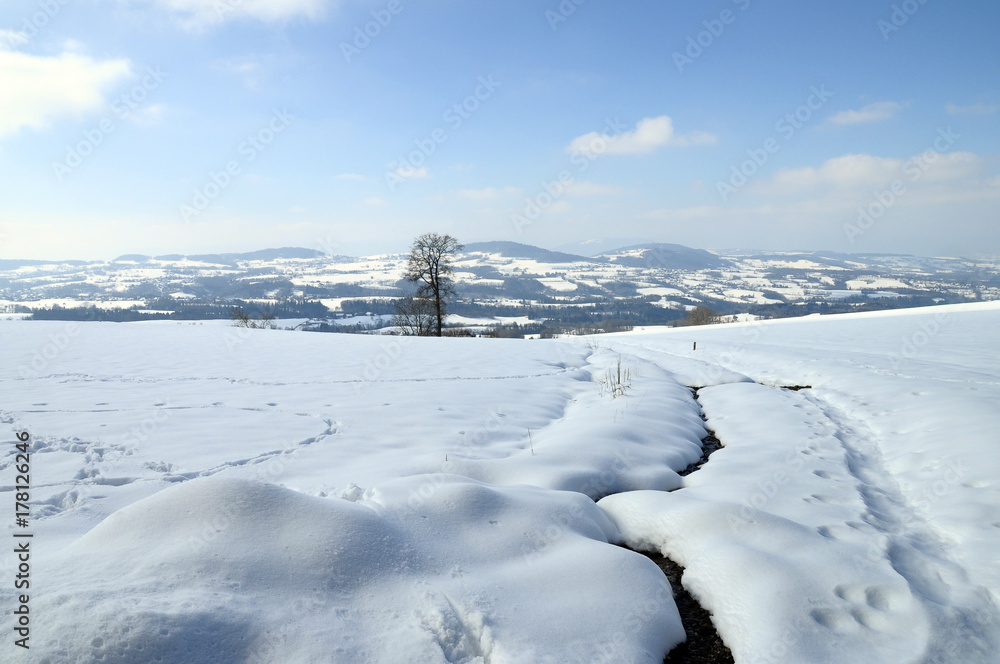 Snow landscape near Cruseilles, Savoy, France
