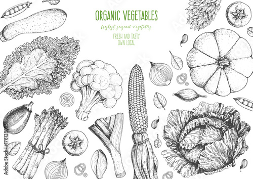 Vegetables top view frame. Farmers market menu design template. Organic vegetables food poster. Vintage hand drawn sketch vector illustration. Line art graphic. Engraved style.