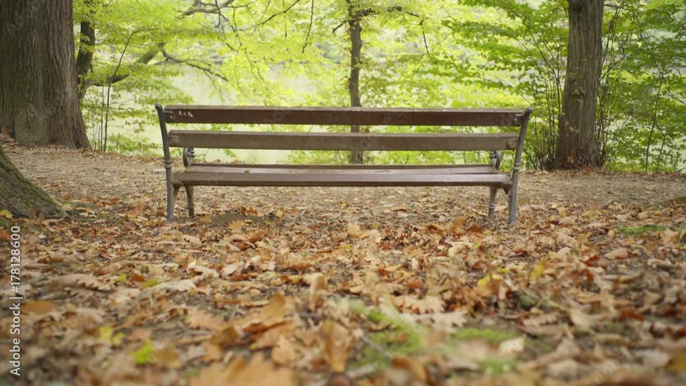 Moving towards Bench at a Lake in Beautiful Croatian European Forest in Fall Moving towards Bench at a Lake in Beautiful Croatian European Forest in Fall