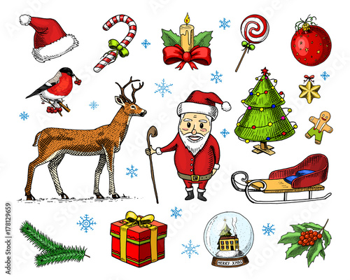 engraved hand drawn in old sketch and vintage style for label. Merry Christmas or xmas, New Year Collection. winter holiday decoration. santa claus with jingle bell and deer, bird bullfinch cardinal.