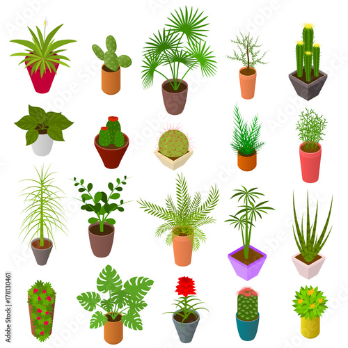 Green Plants in Pot Set Icons 3d Isometric View. Vector