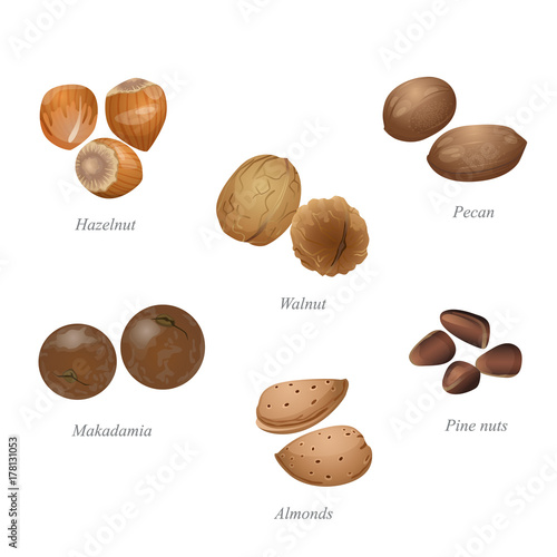 Six nuts in their shells / There are walnut, hazelnut, pine nuts, pecan, macadamia and almonds 
