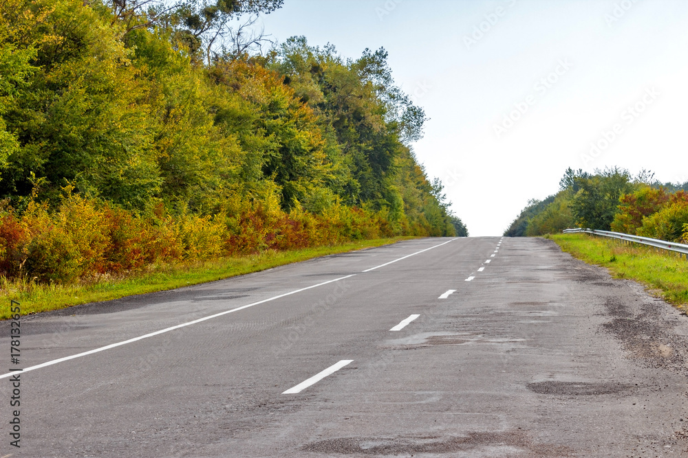 Road in the autumnal forest. Asphalt road Road in the autumnal forest. Asphalt road