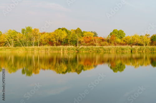 Autumn trees at the lake with reflection