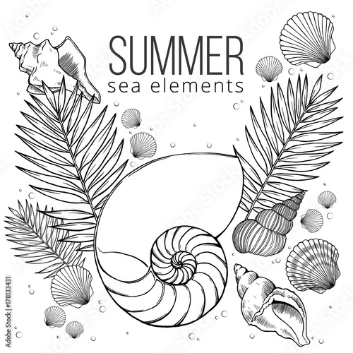 Summer black ink vector doodle illustration with sea shell  palm leaf in a beach decoration in top view perspective  great as posters  banners  print or t-shirt with many isolated summer elements