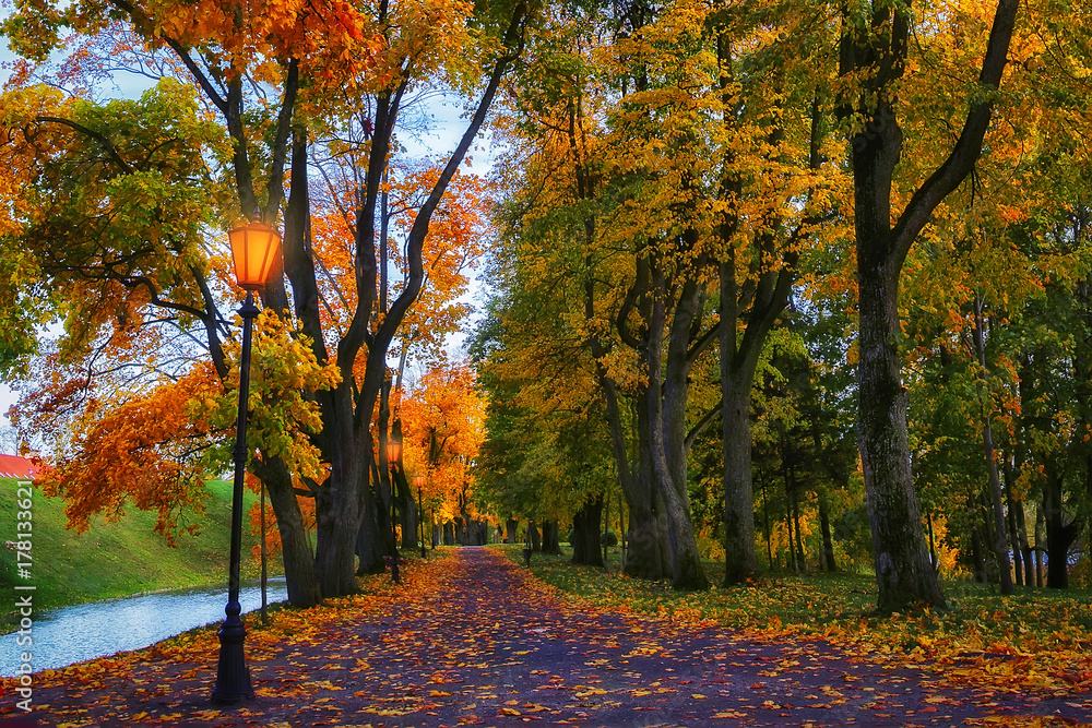 Autumn in evening park. Scenery autumn background. Colorful fall vivid.