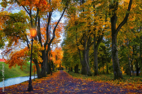 Obraz na płótnie Autumn in evening park. Scenery autumn background. Colorful fall vivid. w salonie