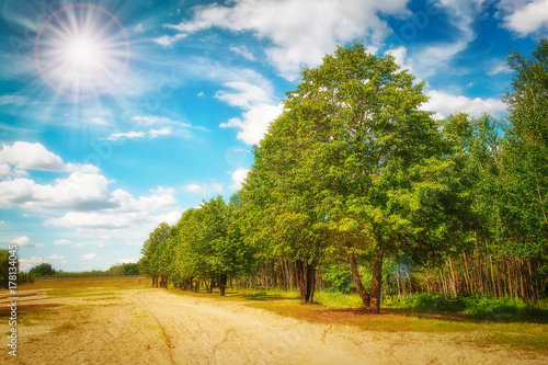 Summer sunny day in green natural park with blue sky with white clouds. Happy bright day background. Sunlight over scenic green nature