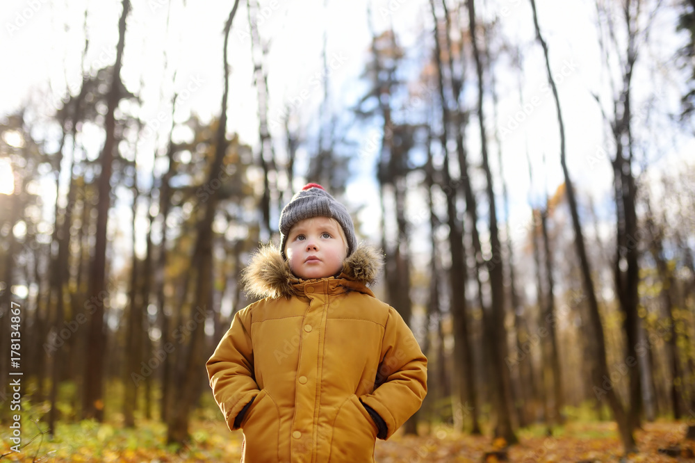 Little child walking in the forest at autumn day Little child walking in the forest at autumn day