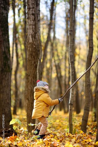 Little child walking in the forest at autumn day © Maria Sbytova
