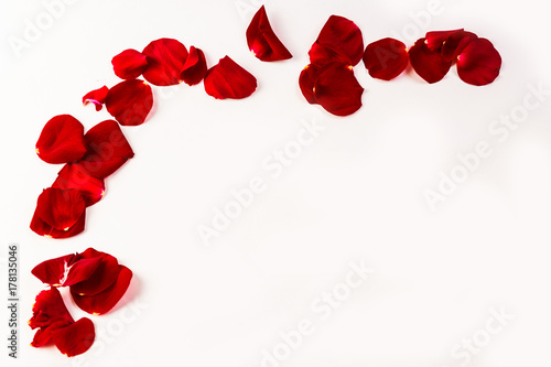 Petals of a red rose lined arc on a white background