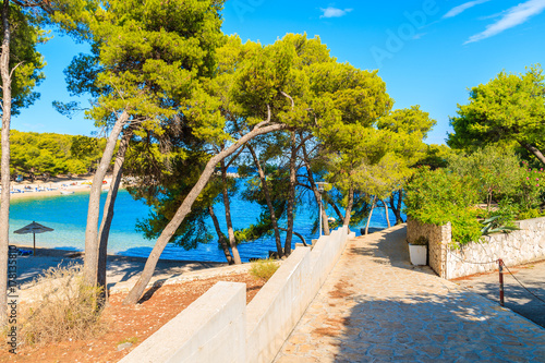 Walkway to beach with green pine trees in Primosten town  Dalmatia  Croatia