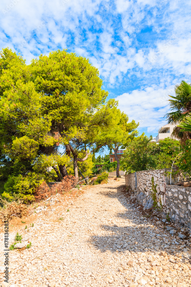 Coastal path with pine trees in Primosten town, Dalmatia, Croatia
