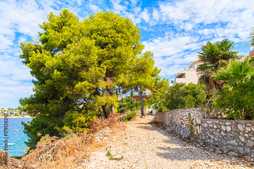 Coastal path with pine trees in Primosten town  Dalmatia  Croatia