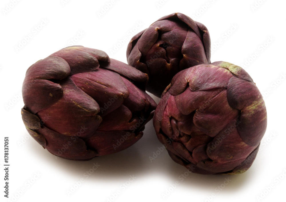 Obraz premium Cynara scolymus