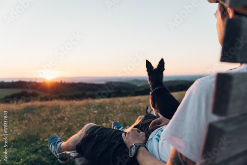 dog watch sunset  © David