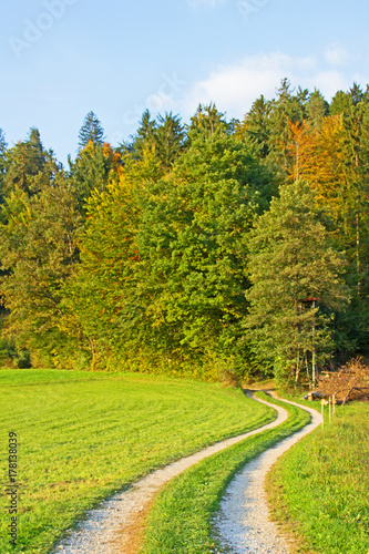 Fototapeta Naklejka Na Ścianę i Meble -  Nature landscape in Autumn