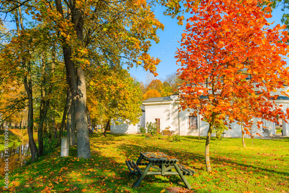 Wooden picnic table in park with colorful trees in autumn season, Poland Wooden picnic table in park with colorful trees in autumn season, Poland