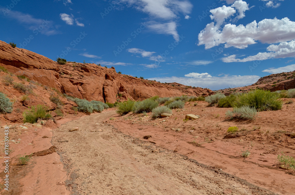 sandy wash at the bottom of Dry Fork of Coyote Gulch on Kaiparowits Plateau 
Hole in the Rock Road, Grand Staircase Escalante National Monument, Garfield County, Utah, USA