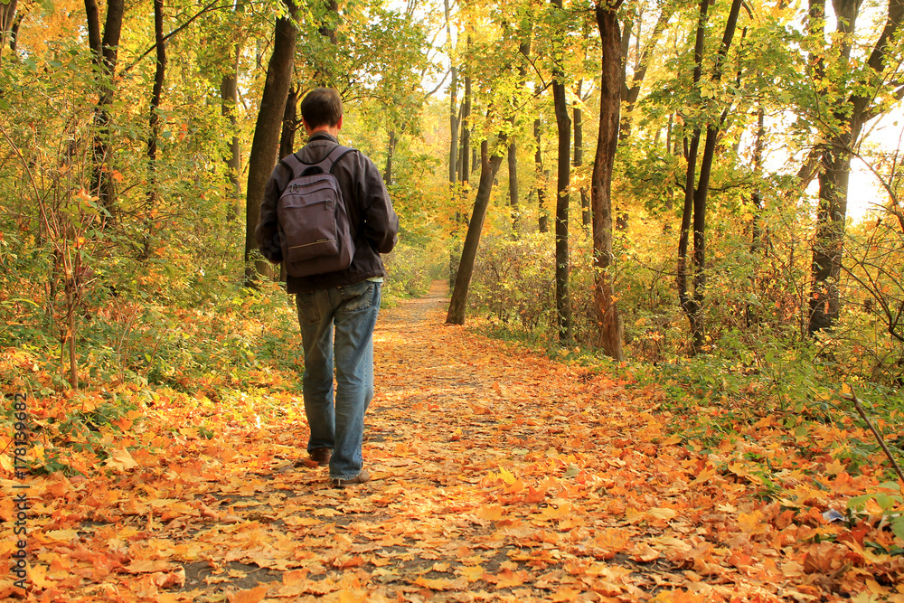 Man walks along autumn forest path strewn with fallen leaves.
